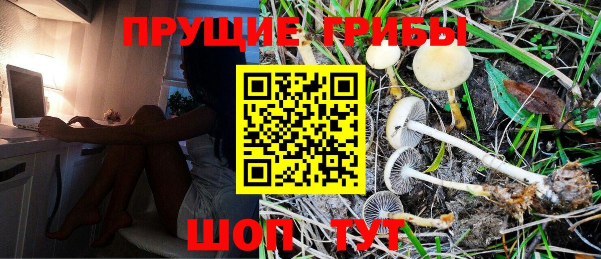 Галлюциногенные грибы Psilocybe  Вход с VPN  Ачинск  Псилоцибиновые грибы Cubensis 